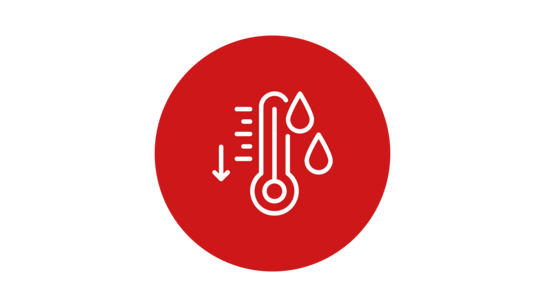 Icon Thermometer