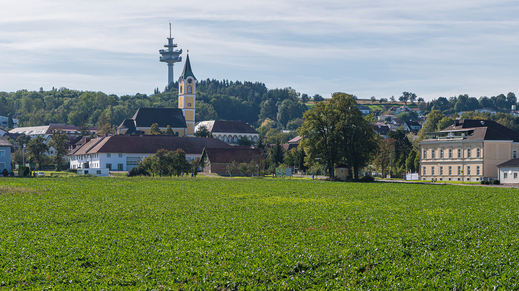 Ansicht Ansfelden